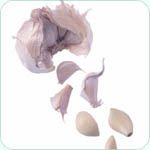 enteric-coated Garlic for heart and immune health